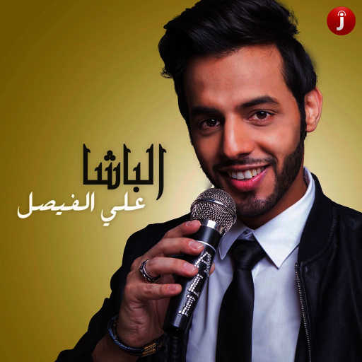 كلمات اغنية علي الفيصل – الباشا مكتوبة