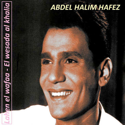 كلمات اغنية عبد الحليم حافظ – مشغول وحياتك مكتوبة