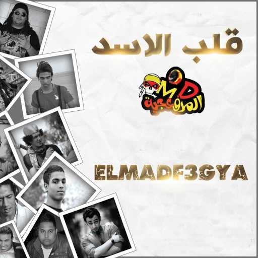 كلمات اغنية المدفعجية – قلب الاسد مكتوبة