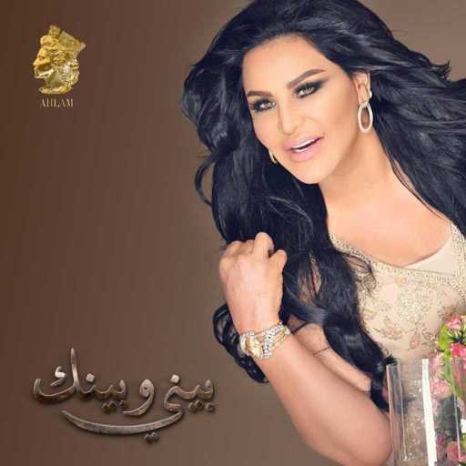 كلمات اغنية أحلام – بيني وبينك مكتوبة