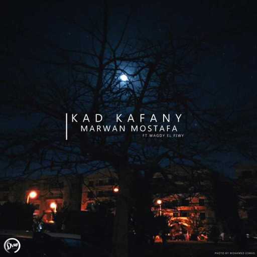 كلمات اغنية مروان مصطفي – قد كفاني مكتوبة