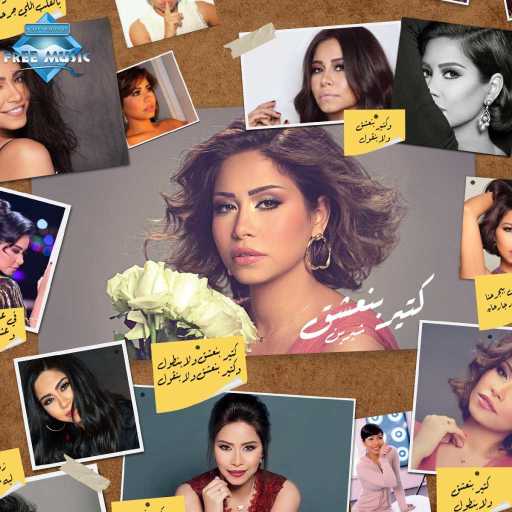 كلمات اغنية شيرين عبدالوهاب – كتير بنعشق مكتوبة