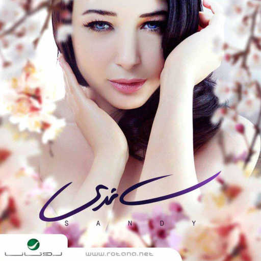 كلمات اغنية ساندي – ما تحملت الزعل مكتوبة