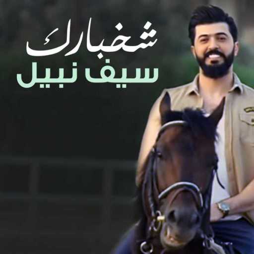 كلمات اغنية سيف نبيل – شخبارك مكتوبة