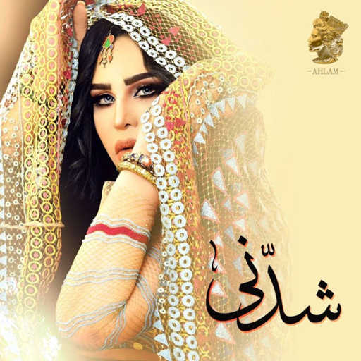 كلمات اغنية أحلام – شدني مكتوبة