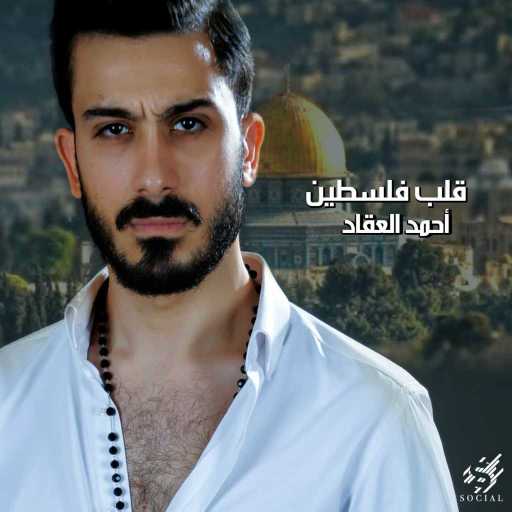 كلمات اغنية احمد العقاد – قلب فلسطين مكتوبة
