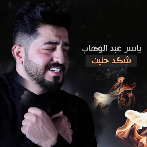 كلمات اغنية ياسر عبد الوهاب – شكد حنيت مكتوبة