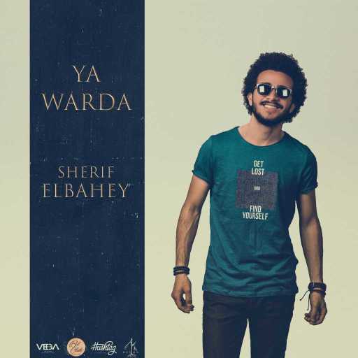 كلمات اغنية شريف بهي – يا وردة مكتوبة