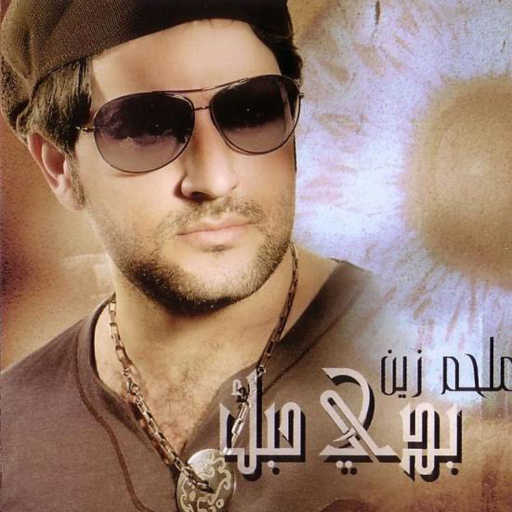 كلمات اغنية ملحم زين – بدي حبك مكتوبة