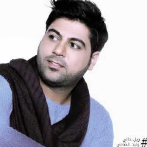 كلمات اغنية وليد الشامي – ويل حالي مكتوبة