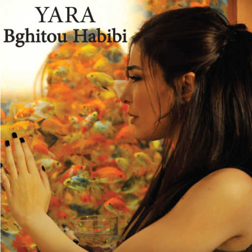 كلمات اغنية يارا – بغيتو حبيبي مكتوبة