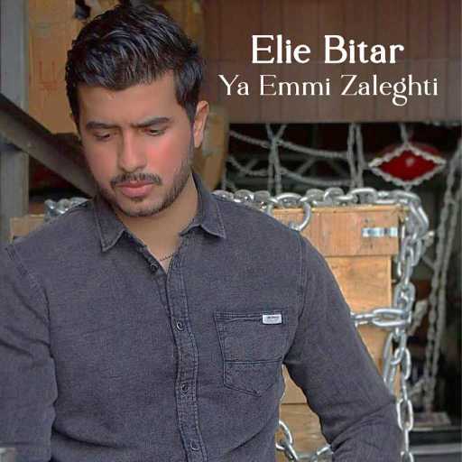 كلمات اغنية إيلي بيطار – يا أمي زلغطي مكتوبة