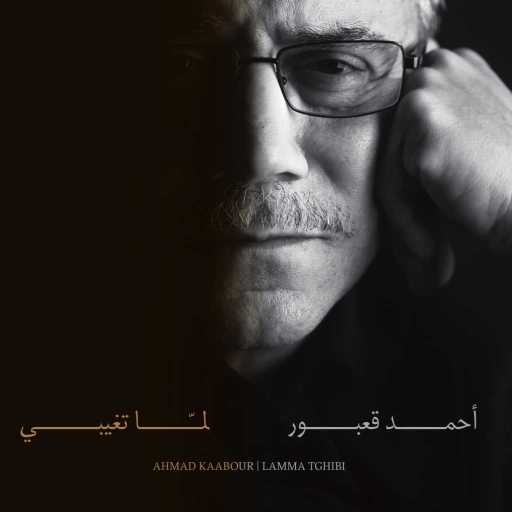 كلمات اغنية احمد قعبور – يا ستي ليكي مكتوبة