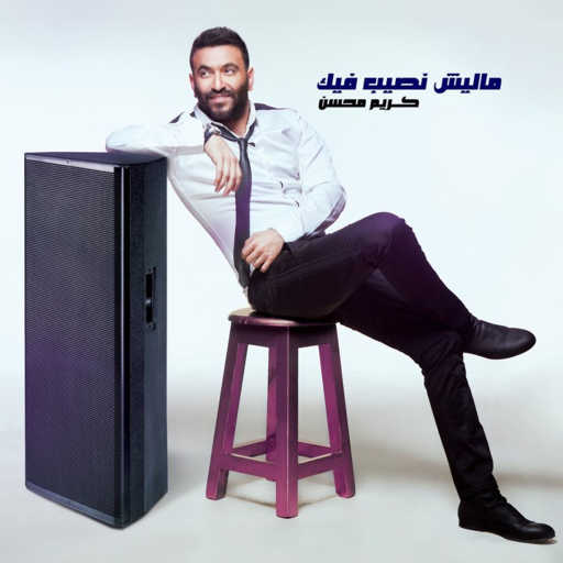 كلمات اغنية كريم محسن – مليش نصيب فيك مكتوبة