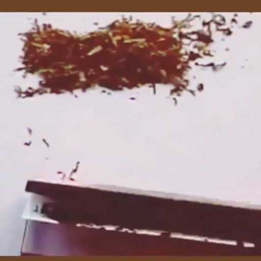 كلمات اغنية عنبة – مهرجان كان جوان مكتوبة