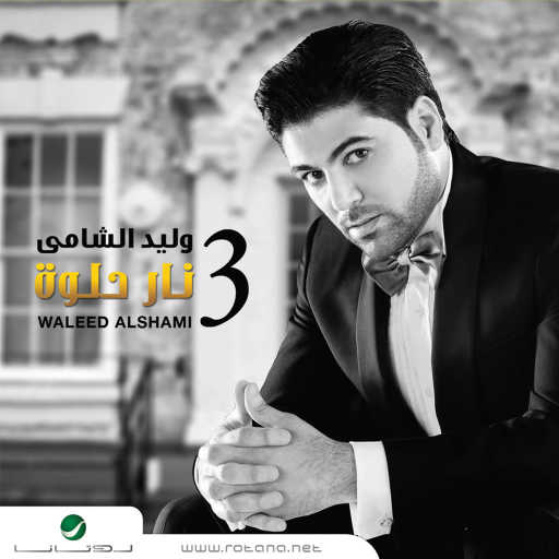 كلمات اغنية وليد الشامي – احبه كلش مكتوبة