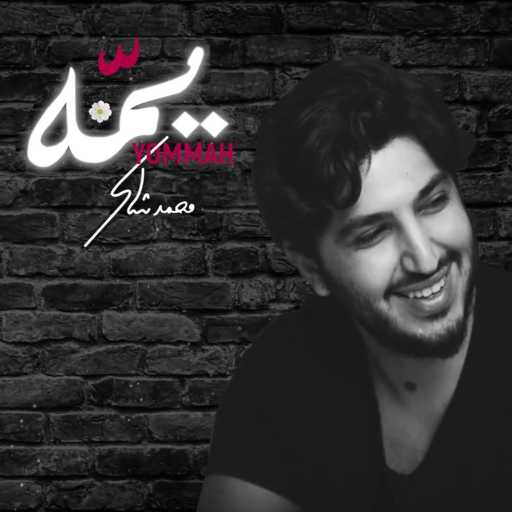 كلمات اغنية محمد شاكر – يمه مكتوبة