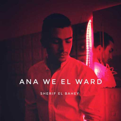 كلمات اغنية شريف بهي – أنا والورد مكتوبة