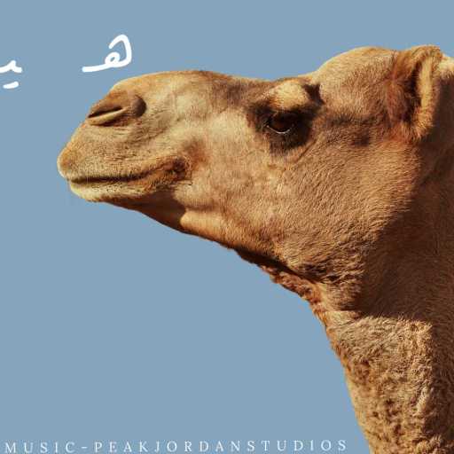 كلمات اغنية جماعة خير – هيجن مكتوبة