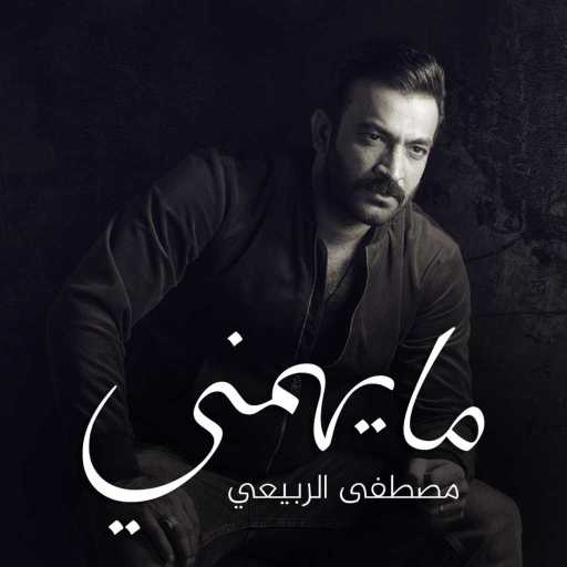 كلمات اغنية مصطفى الربيعي – ما يهمني مكتوبة