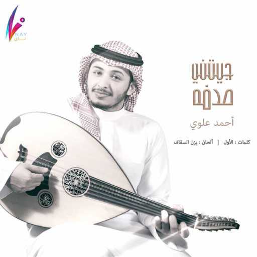 كلمات اغنية احمد علوي – جيتني صدفة مكتوبة