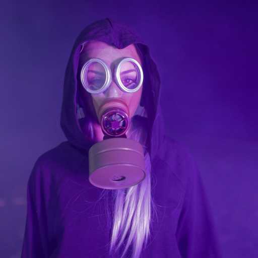 كلمات اغنية رجا مزيان – Toxic مكتوبة