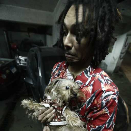 كلمات اغنية ويجز – باظت مكتوبة