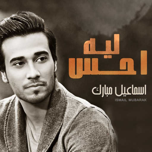 كلمات اغنية اسماعيل مبارك – ليه احس مكتوبة