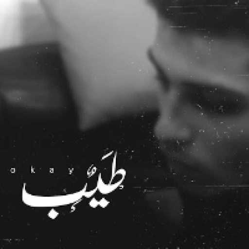 كلمات اغنية عمار حسني – طيب مكتوبة