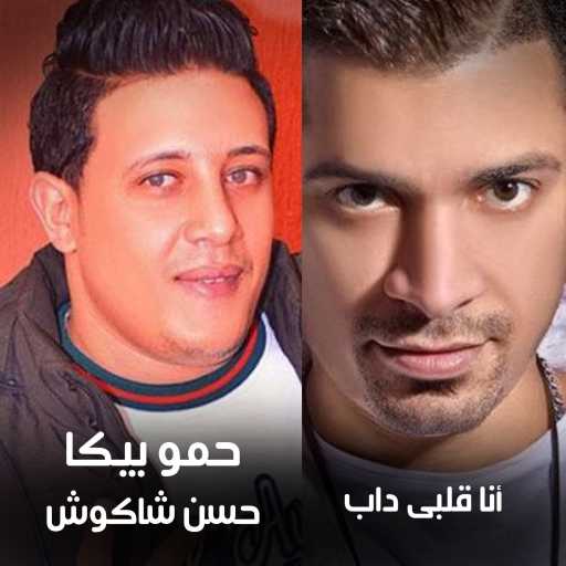 كلمات اغنية حسن شاكوش و حمو بيكا – مهرجان أنا قلبي داب مكتوبة