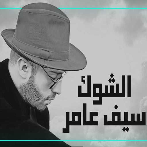 كلمات اغنية سيف عامر – الشوك مكتوبة