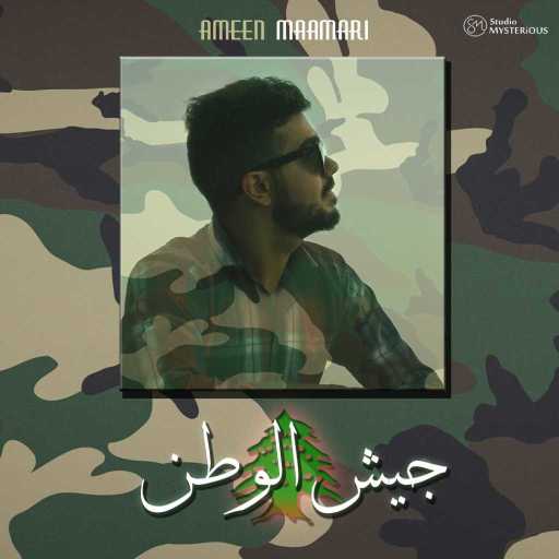 كلمات اغنية أمين معماري – جيش الوطن مكتوبة