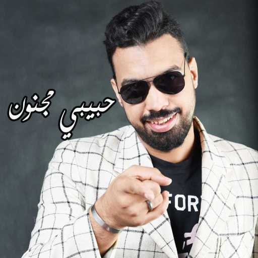 كلمات اغنية علاء الجوهري – حبيبي مجنون مكتوبة