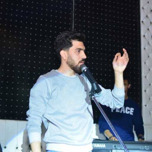 كلمات اغنية هشام حفني – قصيدة سيندريلا مكتوبة