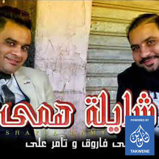 كلمات اغنية على فاروق و تامر على وعلي فاروق – لساكى ياما شايلة همى مكتوبة