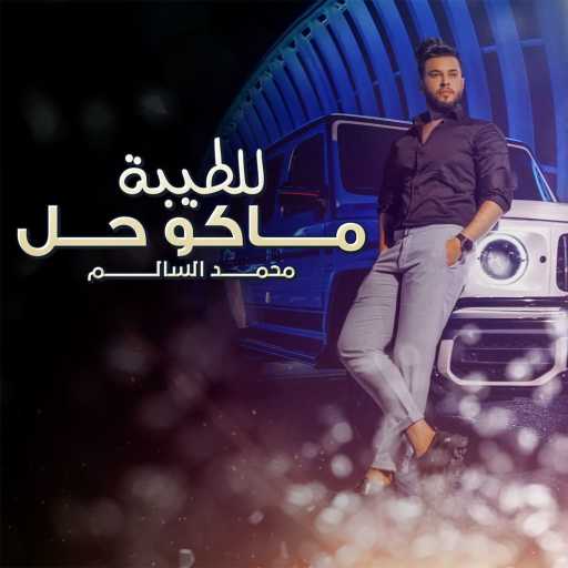 كلمات اغنية محمد السالم – للطيبة ماكو حل مكتوبة