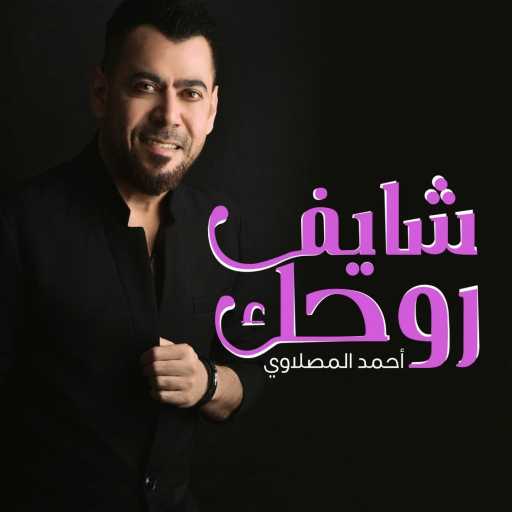 كلمات اغنية أحمد المصلاوي – شايف روحك مكتوبة