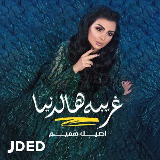 كلمات اغنية اصيل هميم – غريبه هالدنيا مكتوبة