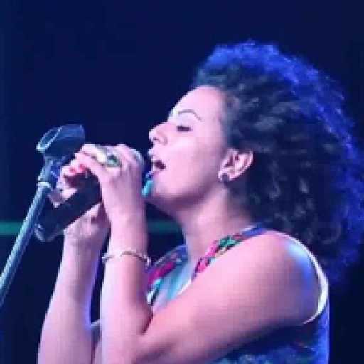 كلمات اغنية دينا الوديدي – أنا الزناتي مكتوبة