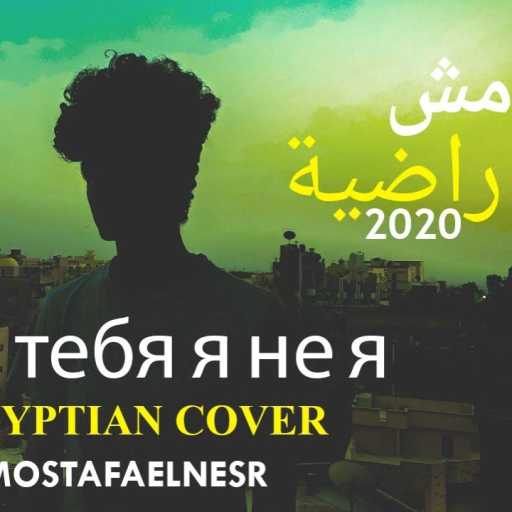 كلمات اغنية مصطفي النسر – مش راضية مكتوبة