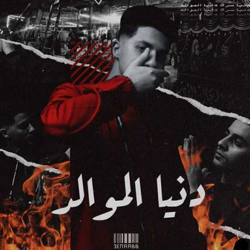 كلمات اغنية عنبة – Donya El Mawaled مكتوبة