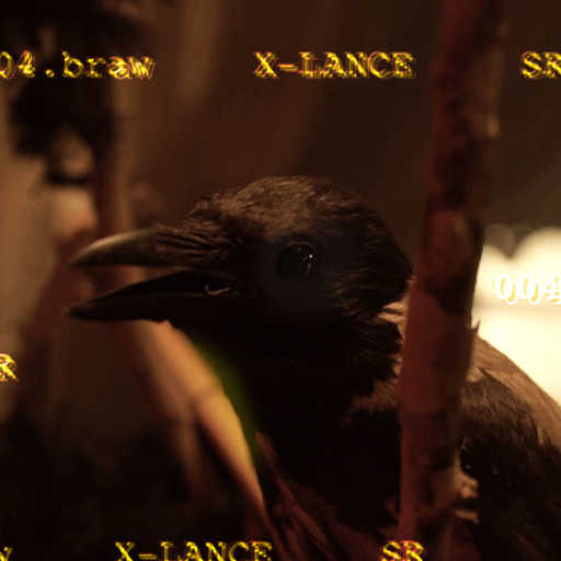 كلمات اغنية شاهين و احمد بسيوني و الڤايڤ – اكسلانس مكتوبة