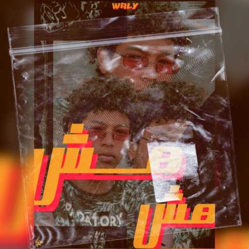 كلمات اغنية Waly – هش هش مكتوبة