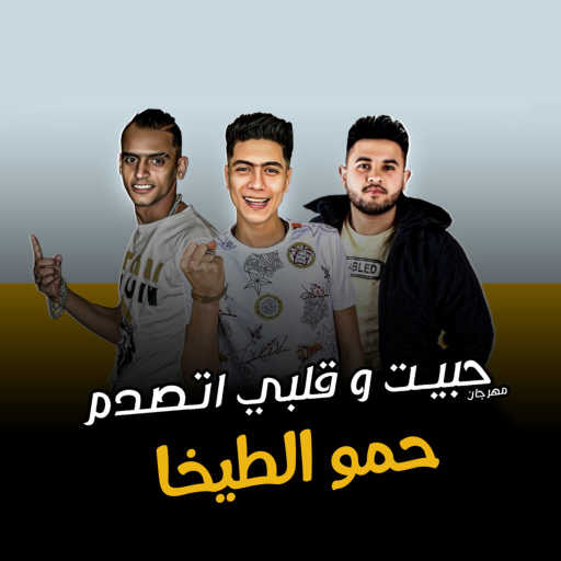 كلمات اغنية حمو الطيخا, حمو الطيخا & Hamo Al Tekha – مهرجان حبيت وقلبى اتصدم مكتوبة