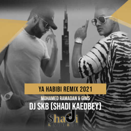 كلمات اغنية ديجي اس كي بي – محمد رمضان و ميتري جيمس – يا حبيبي  ريمكس مكتوبة