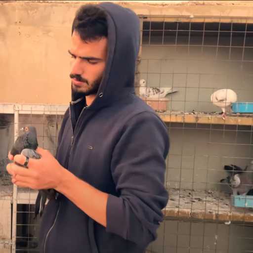 كلمات اغنية تيم – تيّم – ابن عشره مكتوبة