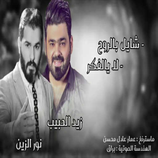 كلمات اغنية زيد الحبيب و نور – شايل بالروح مكتوبة