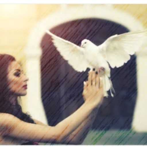 كلمات اغنية فادى زكى – بحبك مابحبكيش مكتوبة