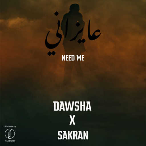 كلمات اغنية دوشه – عايزاني(مع طارق السكران) مكتوبة