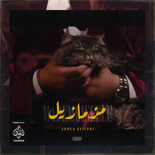 كلمات اغنية أحمد بسيوني – مزمازيل مكتوبة
